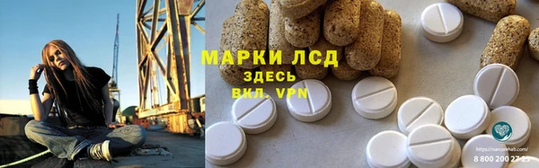 гидра Елизово