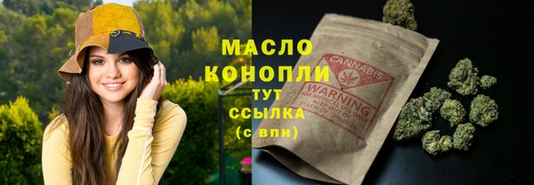 гидра Елизово