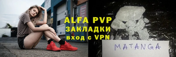 гидра Елизово