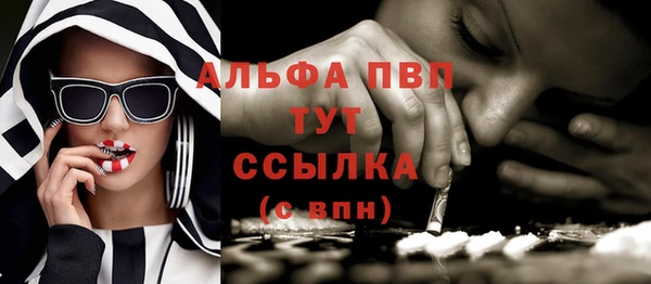 гидра Елизово
