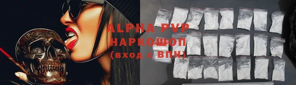 гидра Елизово