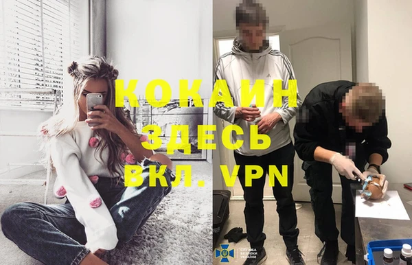 гидра Елизово