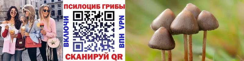 Псилоцибиновые грибы Cubensis Купить закладки Ханты-Мансийск